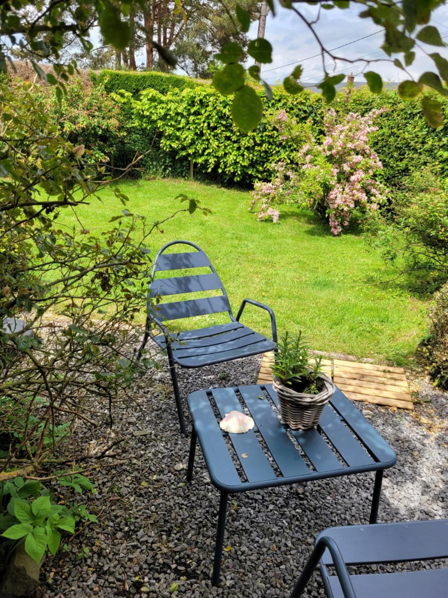 Studio Bienvenue Du Cote De Chez Nous Avec Jardin Privatif Wignehies Exterior foto